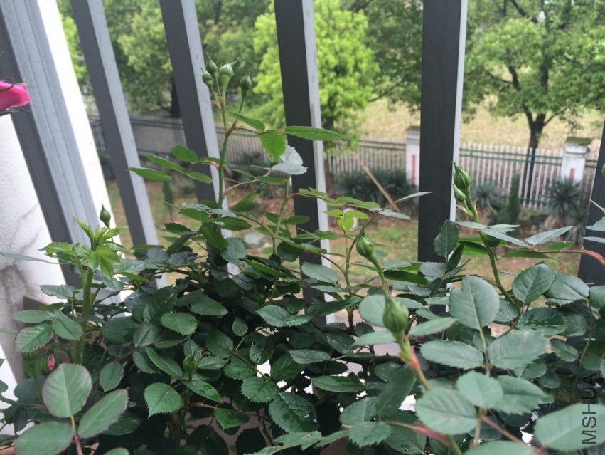 QQͼƬ20150419110104.jpg
