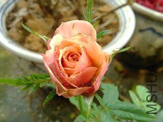 UC_Photo_003.jpg