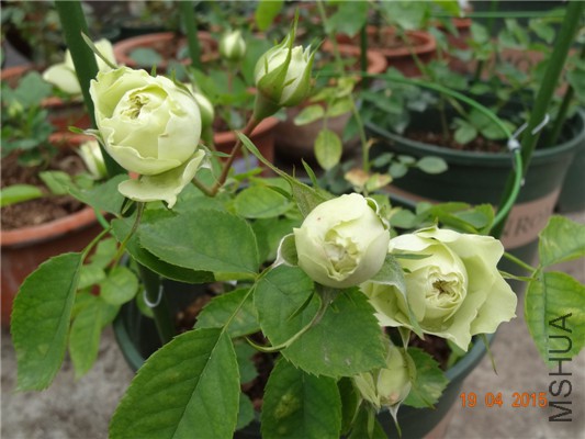 DSC07902.jpg