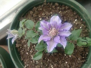 UC_Photo_079.jpg