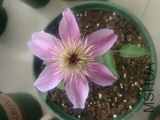 UC_Photo_080.jpg