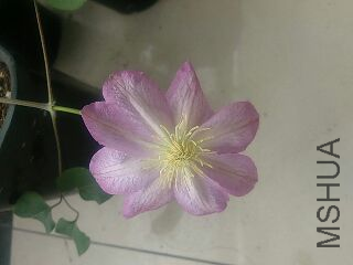 UC_Photo_082.jpg