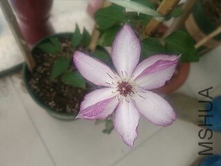 UC_Photo_084.jpg