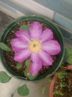UC_Photo_085.jpg