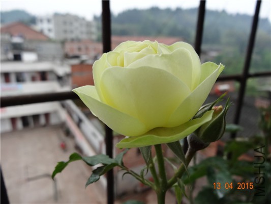 DSC07396.jpg