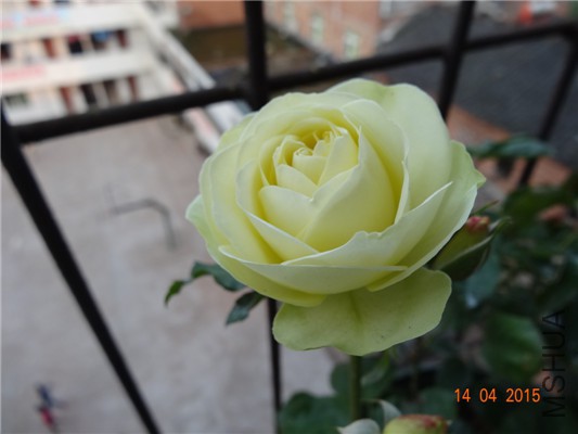 DSC07427.jpg