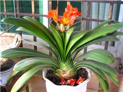 IMG_0410.JPG