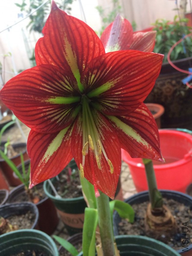 QQͼƬ20150419163107.jpg