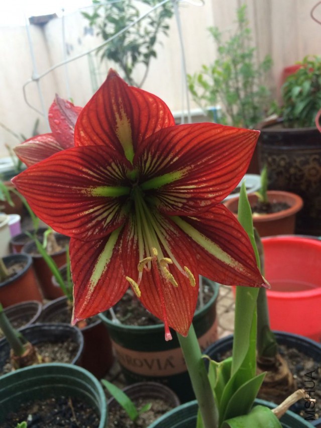 QQͼƬ20150419163112.jpg