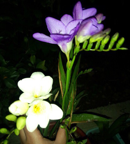 QQ��ͼ20150419173423.jpg