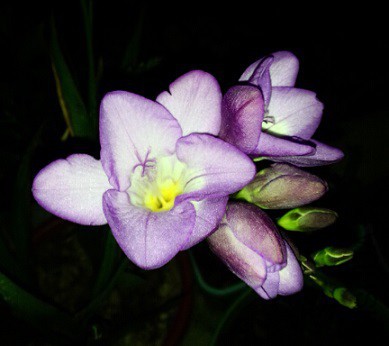 QQ��ͼ20150419173438.jpg
