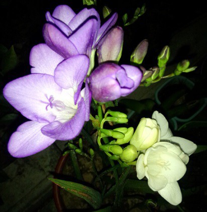 QQ��ͼ20150419173455.jpg