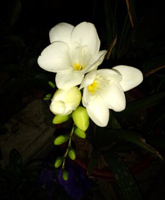QQ��ͼ20150419173446.jpg