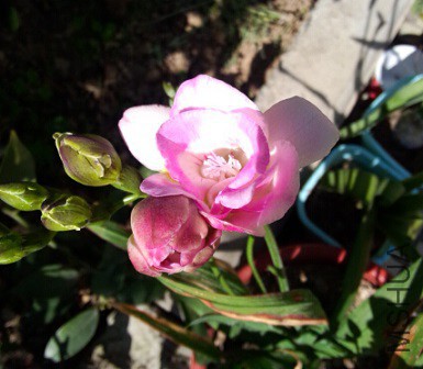 QQ��ͼ20150419173501.jpg