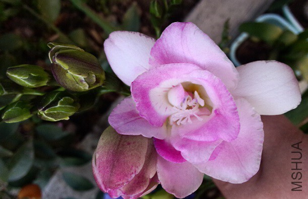 QQ��ͼ20150419173509.jpg
