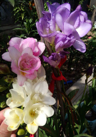 QQ��ͼ20150419173530.jpg