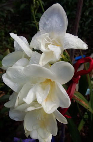 QQ��ͼ20150419173538.jpg