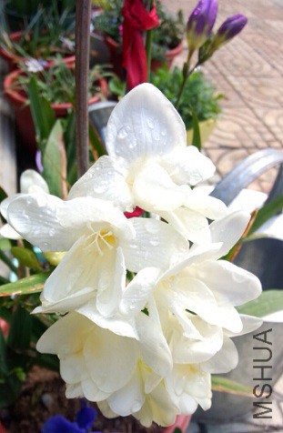 QQ��ͼ20150419173556.jpg