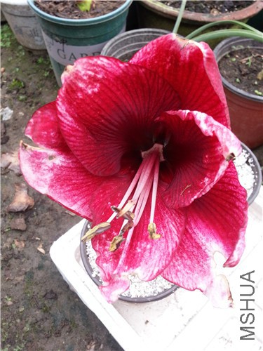 20150419_084741.jpg