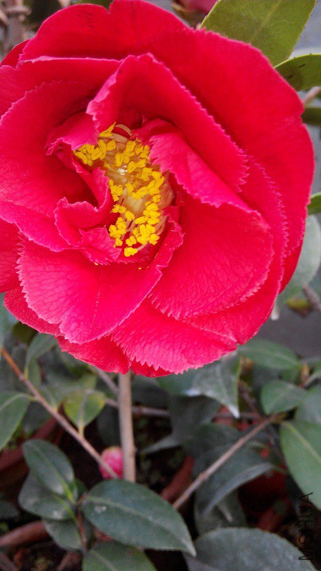 IMG_20150415_064144.jpg