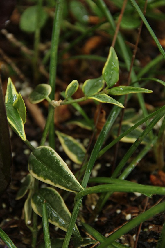 ���� �⾰����.jpg