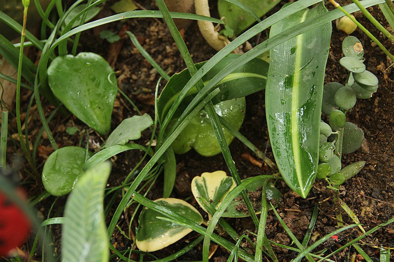 ���� ����.jpg