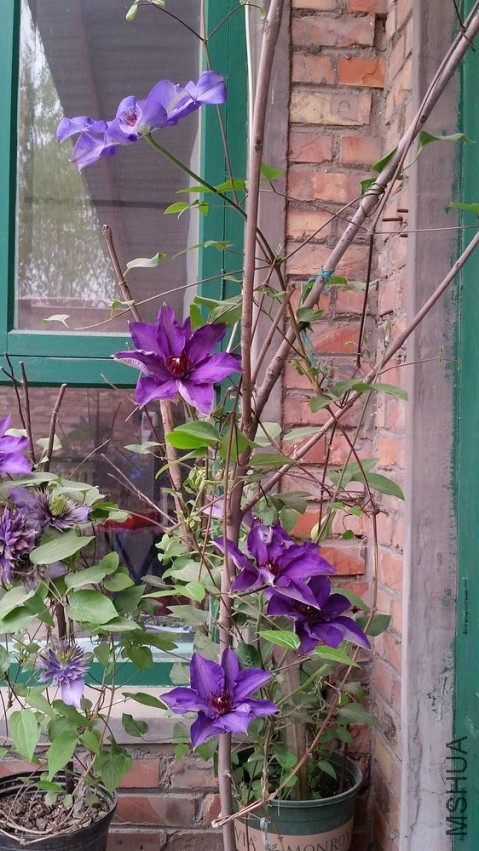 20150418_115429.jpg