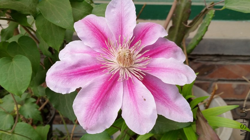 20150418_115524.jpg