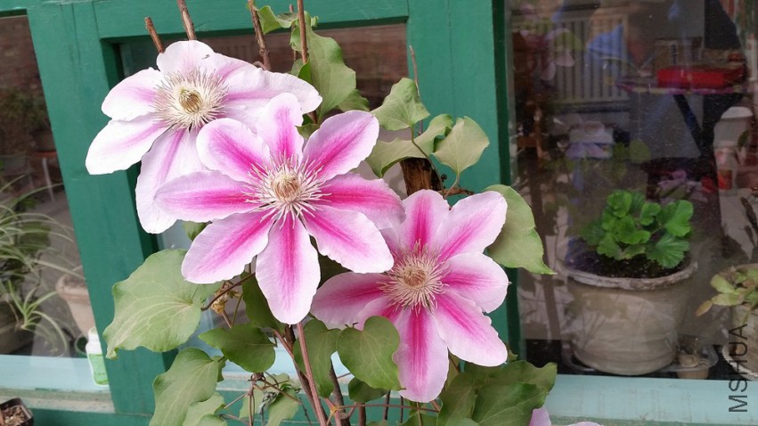 20150418_115531.jpg