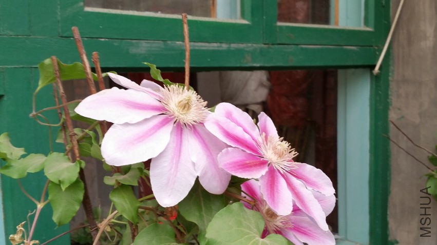 20150418_115544.jpg