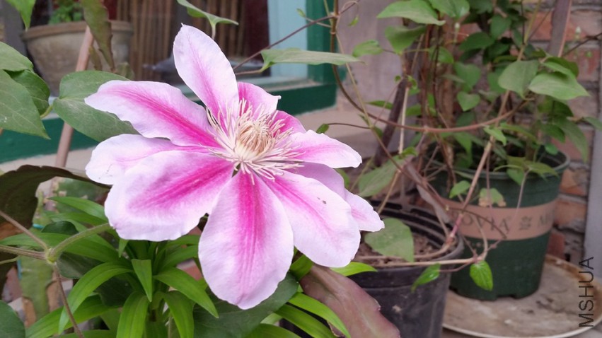 20150418_115550.jpg