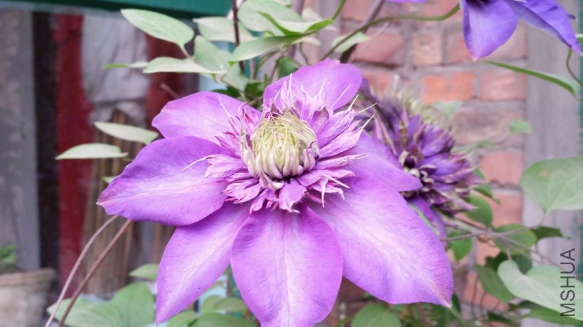 20150418_115553.jpg