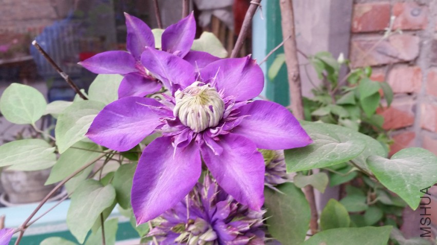 20150418_115557.jpg