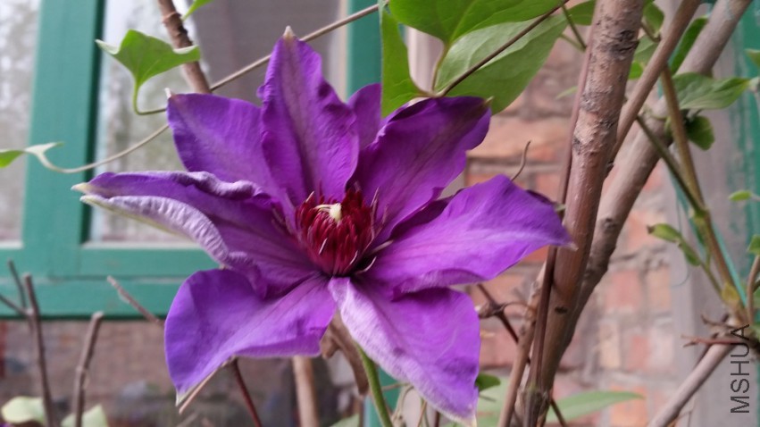 20150418_115620.jpg