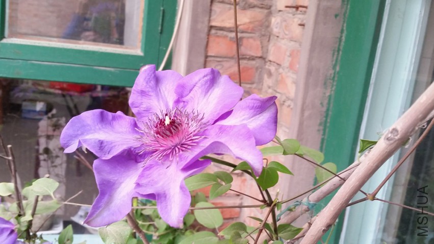 20150418_115626.jpg