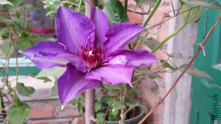 20150418_115630.jpg
