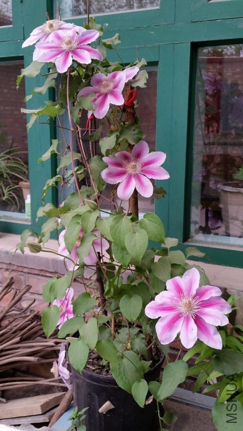 20150418_115918.jpg