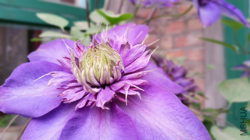 20150418_120027.jpg