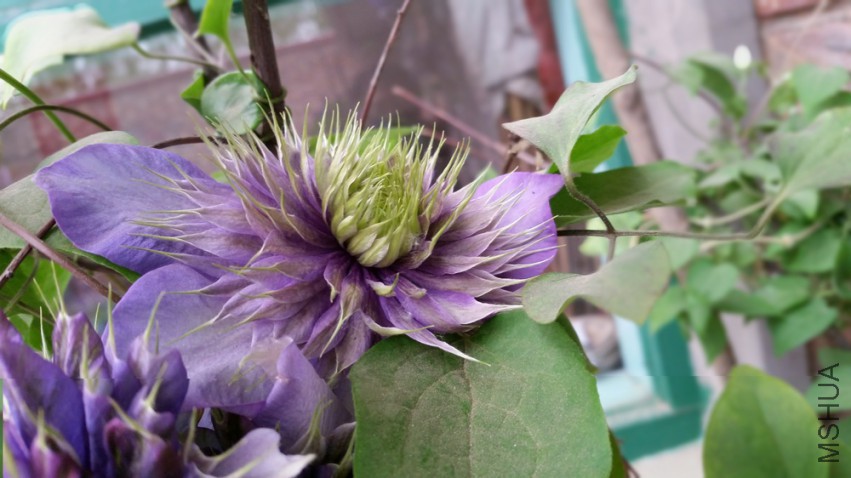 20150418_120045.jpg