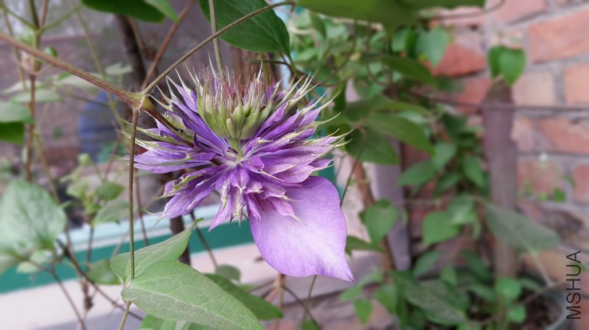 20150418_120058.jpg