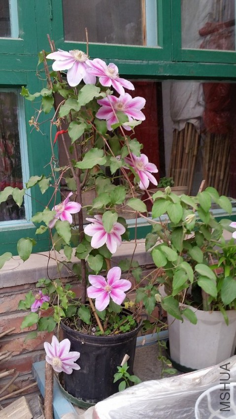 20150418_120119.jpg
