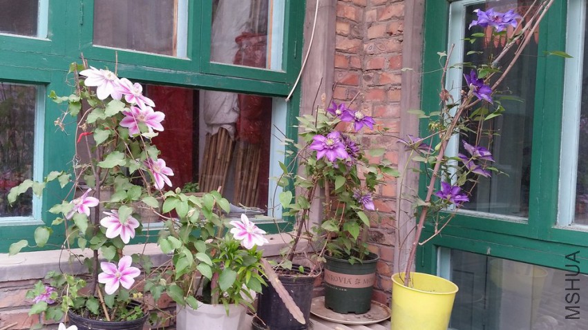 20150418_120128.jpg