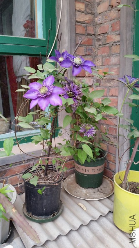 20150418_150512.jpg