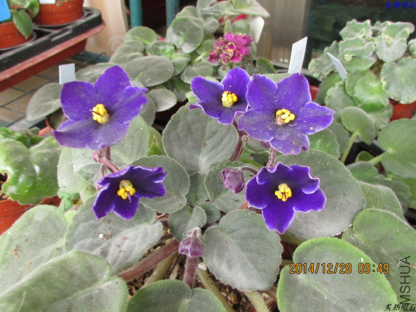 IMG_4037_nEO_IMG.jpg
