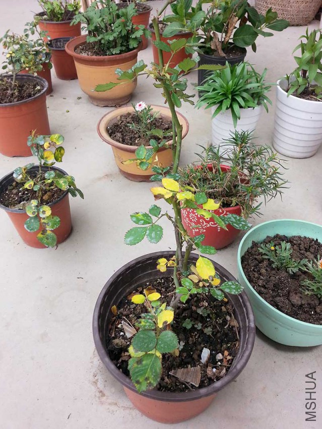 20150419_115209.jpg