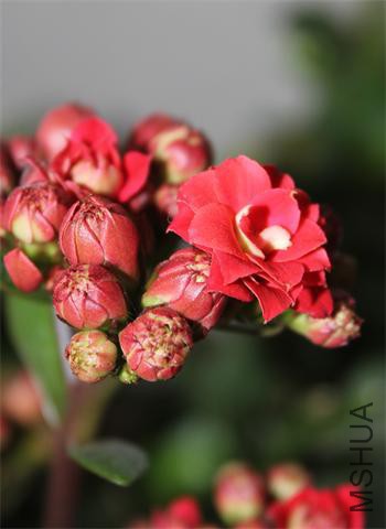 ��Ƭ 016.jpg