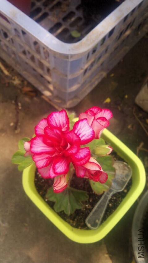 QQͼƬ20150420130302.jpg