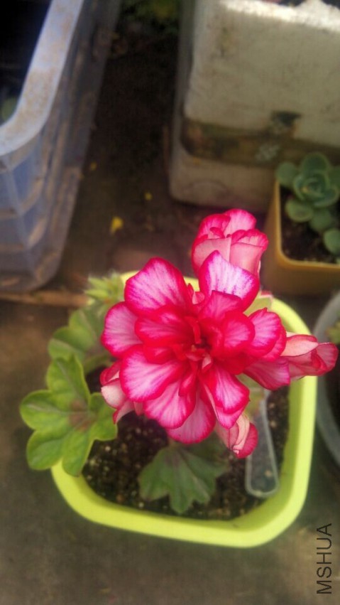 QQͼƬ20150420130252.jpg