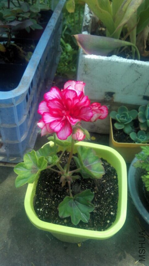 QQͼƬ20150420130239.jpg