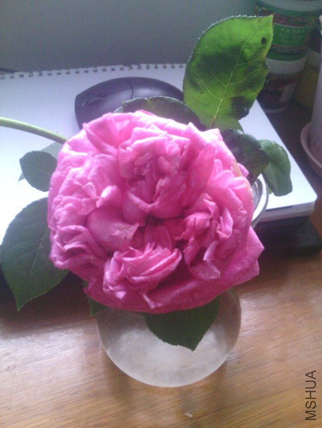 QQͼƬ20150420133622.jpg